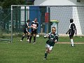 plerin_002