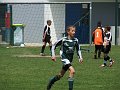 plerin_003