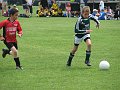 plerin_010