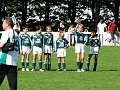 plerin_026