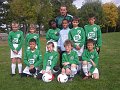 c02_Poussins_D_0809